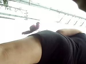 O papá e a melhores  ...