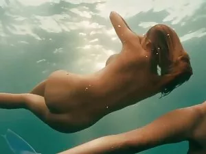 Orgasmos completos e ...